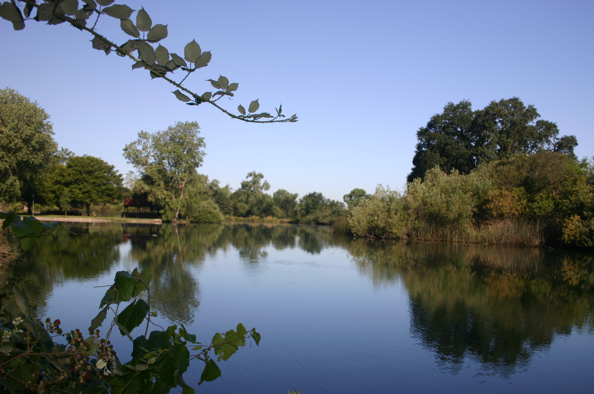 lodi lake